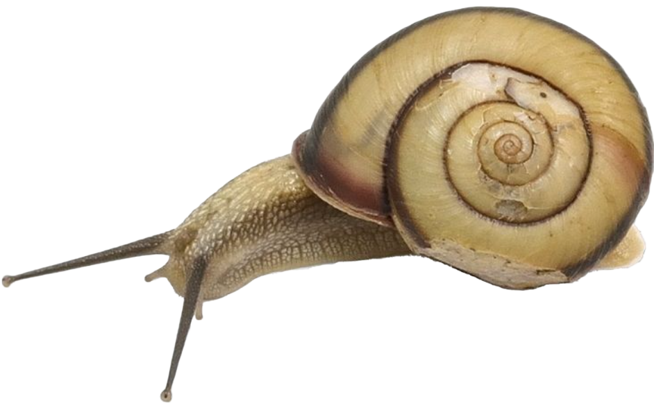 kleiner freund